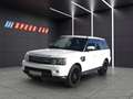 Land Rover Range Rover Sport HSE 3,0L SDV 6 Weiß - thumbnail 2
