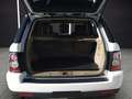 Land Rover Range Rover Sport HSE 3,0L SDV 6 Weiß - thumbnail 22