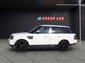 Land Rover Range Rover Sport HSE 3,0L SDV 6 Weiß - thumbnail 3