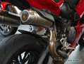 Ducati S - Version sofort verfügbar Rot - thumbnail 9