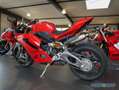 Ducati S - Version sofort verfügbar Rot - thumbnail 6