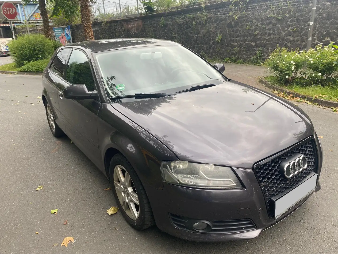 Audi A3 A3 Diesel 1.6 TDI DPF Attraction Grau - 2
