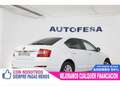 Skoda Octavia 1.6TDI CR Ambition DSG 105 Blanco - thumbnail 7