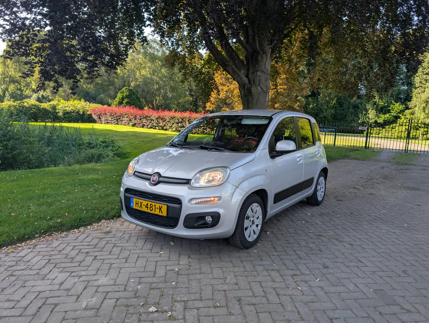 Fiat Panda 1.2 Lounge / 4 cillinder / 5 drs Zilver - 1
