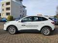 Ford Kuga 2.5 Duratec FHEV COOL&CONNECT Blanc - thumbnail 7