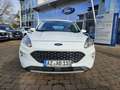 Ford Kuga 2.5 Duratec FHEV COOL&CONNECT Blanc - thumbnail 9