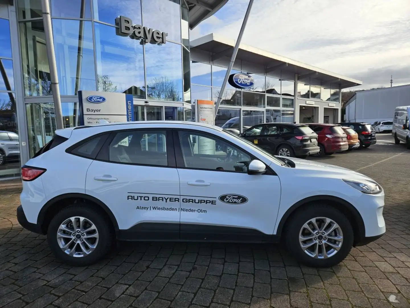 Ford Kuga 2.5 Duratec FHEV COOL&CONNECT Blanco - 2