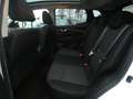 Nissan Qashqai N-Connecta Blanc - thumbnail 12