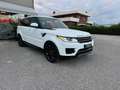 Land Rover Range Rover Sport 3.0 TDV6 S *TETTO*TAGLIANDATO* Weiß - thumbnail 3