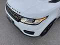 Land Rover Range Rover Sport 3.0 TDV6 S *TETTO*TAGLIANDATO* Weiß - thumbnail 20