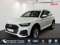 Audi Q5 40 TDI quattro Business+TourPaket AHK Weiß - thumbnail 1