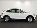 Audi Q5 40 TDI quattro Business+TourPaket AHK Weiß - thumbnail 4