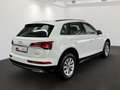 Audi Q5 40 TDI quattro Business+TourPaket AHK Weiß - thumbnail 5