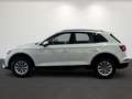 Audi Q5 40 TDI quattro Business+TourPaket AHK Weiß - thumbnail 7