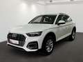 Audi Q5 40 TDI quattro Business+TourPaket AHK Weiß - thumbnail 2