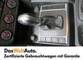 Volkswagen Amarok Comfortline Weiß - thumbnail 12