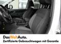 Volkswagen Amarok Comfortline Weiß - thumbnail 13