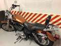 Harley-Davidson XL 1200 FFAAWO Bronzo - thumbnail 5