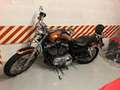 Harley-Davidson XL 1200 FFAAWO Bronzo - thumbnail 1