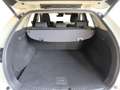 Mazda CX-5 2.2 SKYACTIV-D 150 HP BUSINESS AUTOMATICA Bianco - thumbnail 15