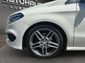 Mercedes-Benz B 200 B 200 CDI / d (246.208) Weiß - thumbnail 21