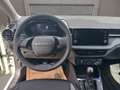Skoda Fabia Essence - NEUWAGEN nur € 15.999,-* Monatlich € 88,- - thumbnail 11