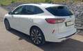 Ford Kuga 2,5 Duratec PHEV ST-Line X Aut. Weiß - thumbnail 4
