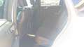 Ford Kuga 2,5 Duratec PHEV ST-Line X Aut. Weiß - thumbnail 15