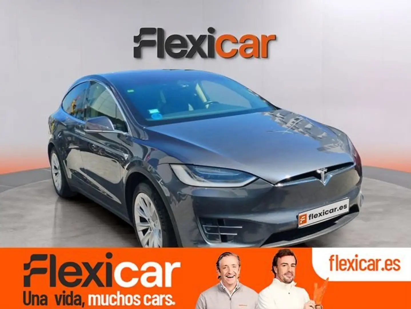 Tesla Model X 100D 4WD Gris - 1