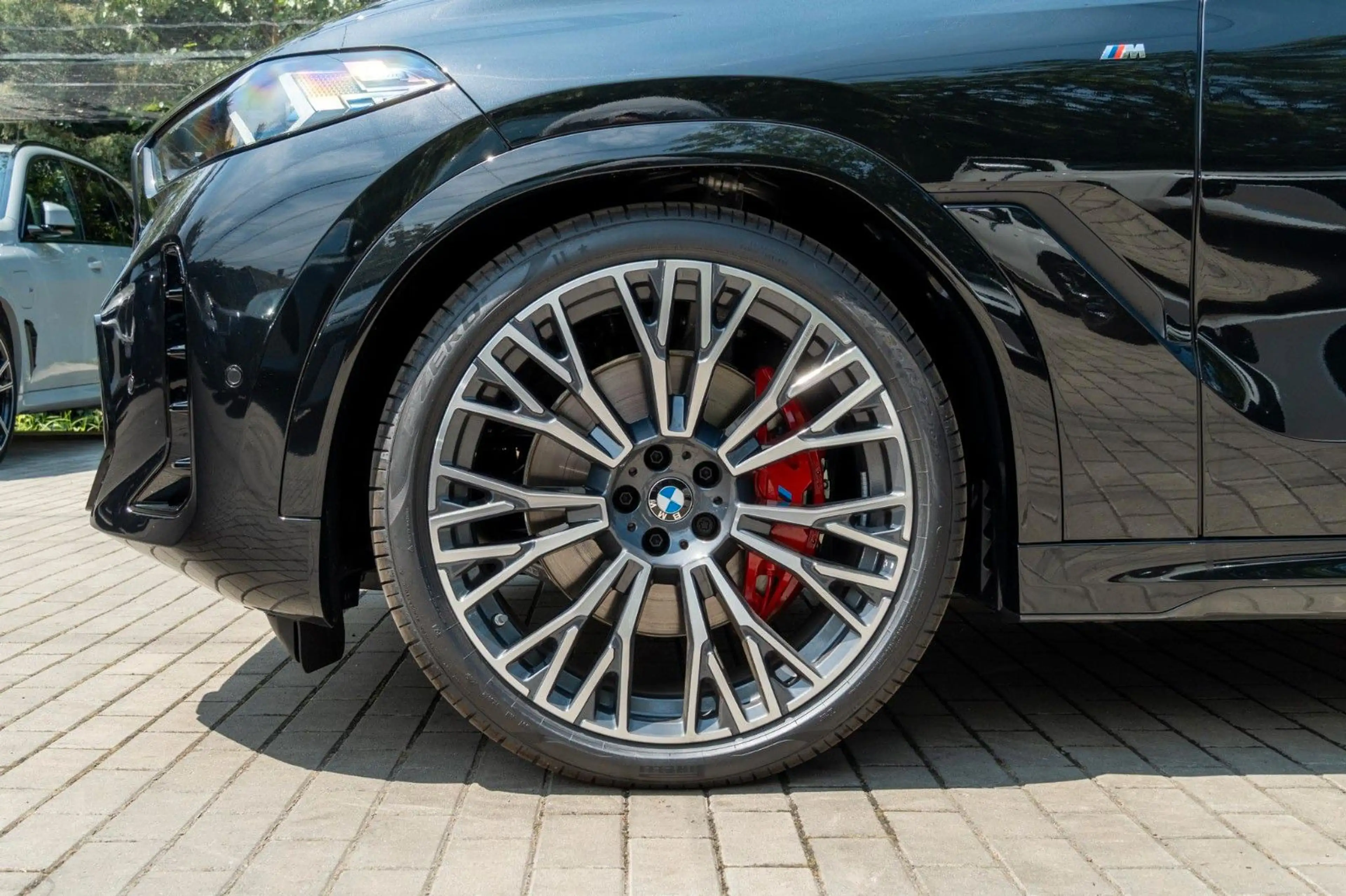 BMW X6 40d M SPORT.DR.ASS.LUFTFE.PANO.H/K.360.AHK — photo 9