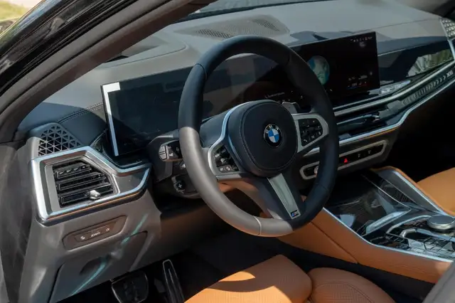 BMW X6 view 12