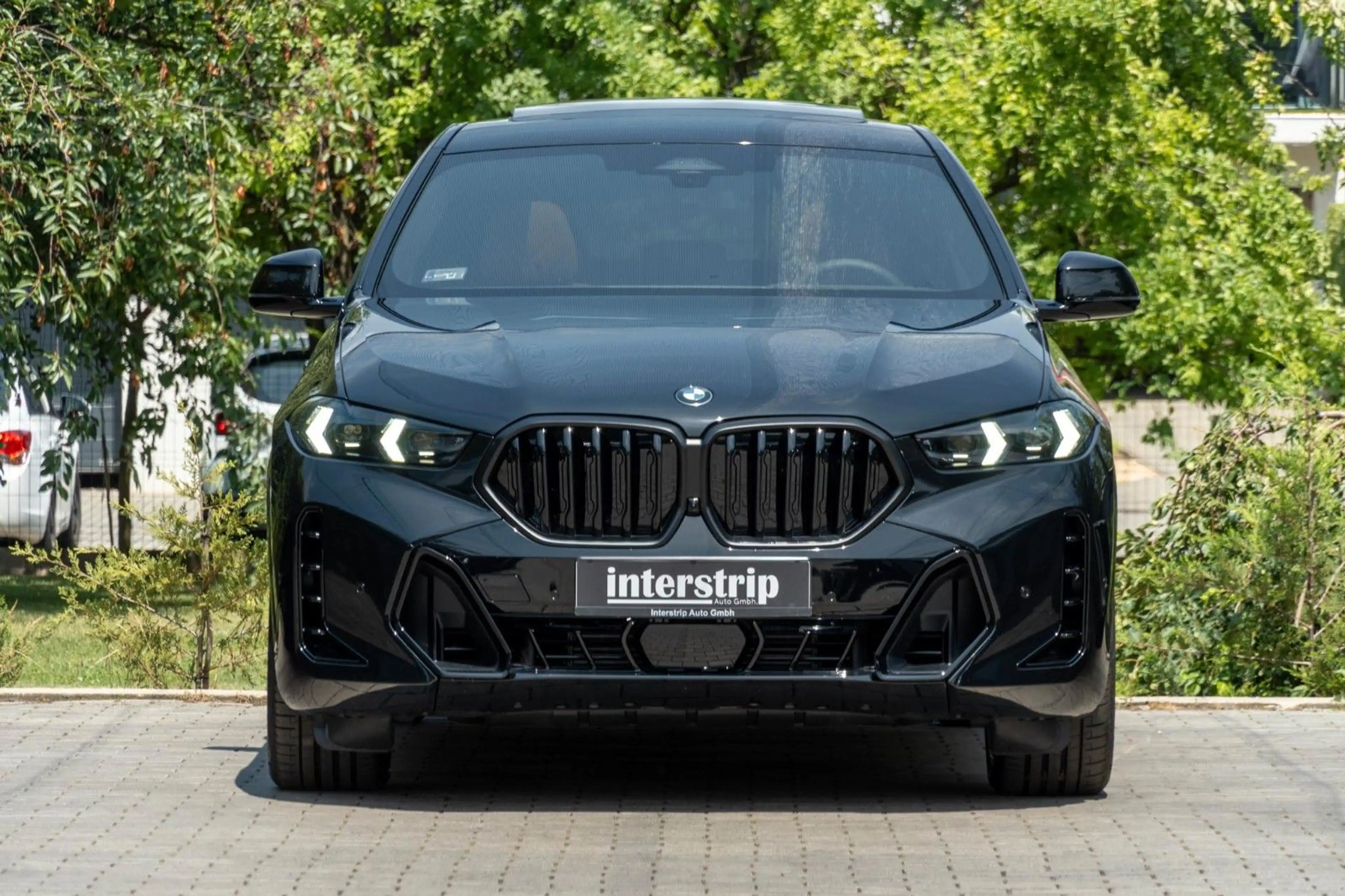 BMW X6 40d M SPORT.DR.ASS.LUFTFE.PANO.H/K.360.AHK — photo 2