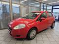 Fiat Grande Punto ohne Tüv Rot - thumbnail 2