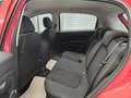 Fiat Grande Punto ohne Tüv Rot - thumbnail 6