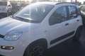 Fiat Panda 1.0 FireFly S&S Hybrid 5 POSTI Bianco - thumbnail 2