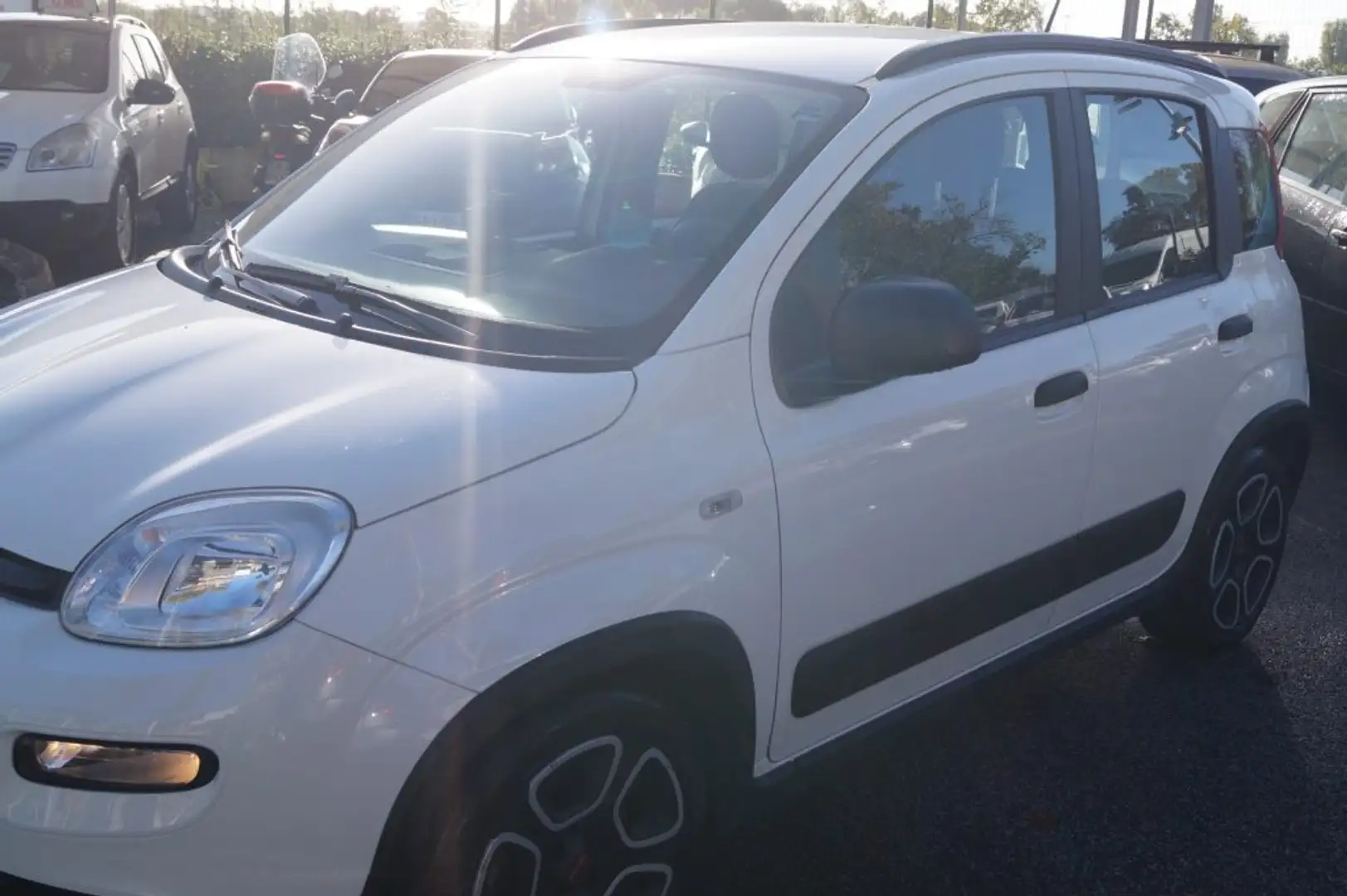 Fiat Panda 1.0 FireFly S&S Hybrid 5 POSTI Bianco - 2