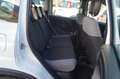 Fiat Panda 1.0 FireFly S&S Hybrid 5 POSTI Bianco - thumbnail 12