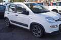 Fiat Panda 1.0 FireFly S&S Hybrid 5 POSTI Bianco - thumbnail 3