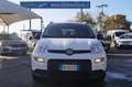 Fiat Panda 1.0 FireFly S&S Hybrid 5 POSTI Bianco - thumbnail 1