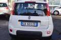 Fiat Panda 1.0 FireFly S&S Hybrid 5 POSTI Bianco - thumbnail 5