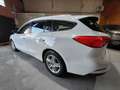 Ford Focus 1.0 Ecoboost Trend+ 125 Blanco - thumbnail 7