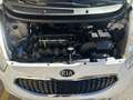 Kia Venga 1.4 CVVT Drive Blanco - thumbnail 11