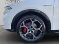 Alfa Romeo Tonale 1.6 diesel 130cv TCT6 Veloce Blanc - thumbnail 23