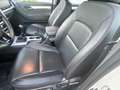 EVO Cross4 Pick-up - thumbnail 6