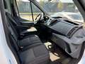 Ford Transit 350 L3 Trend 9 Sitzer Alb - thumbnail 9