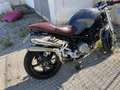 Ducati Monster 800 versione S2R da amatore Grijs - thumbnail 4