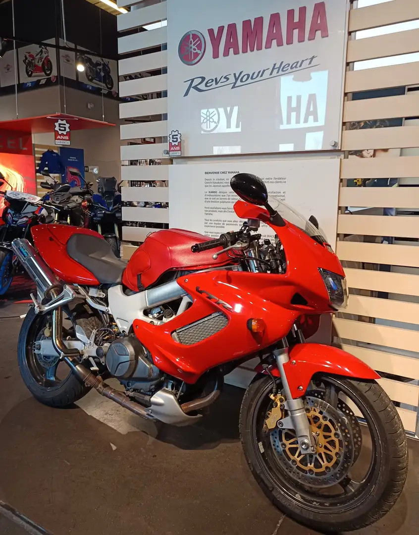 Honda VTR 1000 Rot - 1