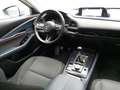 Mazda CX-30 CX-30 2.0 SKYACTIV-G SELECTION 2WD NAVI LED HUD AH Gümüş rengi - thumbnail 9