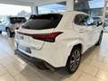 Lexus UX 250h Hybrid 4WD F Sport Blanc - thumbnail 6