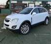 Opel Antara Todoterreno Manual de 5 Puertas Wit - thumbnail 2
